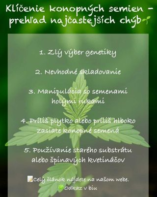 🌱 Pestovanie CBD ko🍀ope má svoje úskalia. Vyhni sa najčastejším chybám a dopraj rastlinám ten najlepší štart. 👉 Celý...