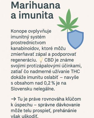 🌿💡 Ako kon*pe ovplyvňuje našu imunitu? Správna rovnováha je kľúčom – zatiaľ čo CBD môže telu pomôcť regenerovať,...
